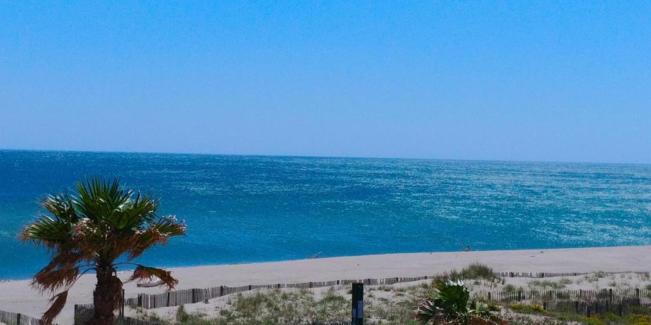 Vue Mer Panoramique Wifi Gratuit Le Barcarès エクステリア 写真