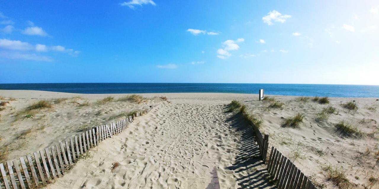 Vue Mer Panoramique Wifi Gratuit Le Barcarès エクステリア 写真