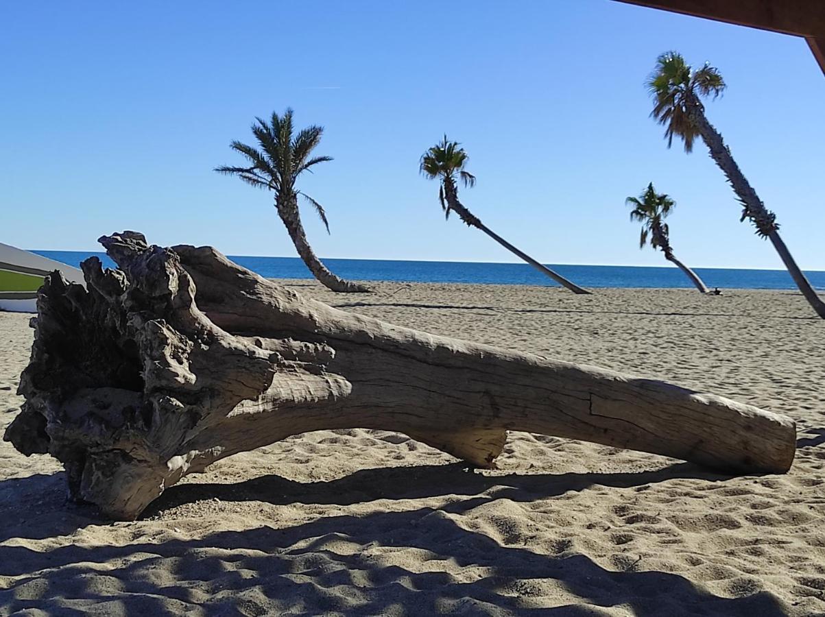 Vue Mer Panoramique Wifi Gratuit Le Barcarès エクステリア 写真